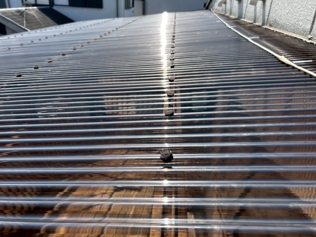 波板　施工完了